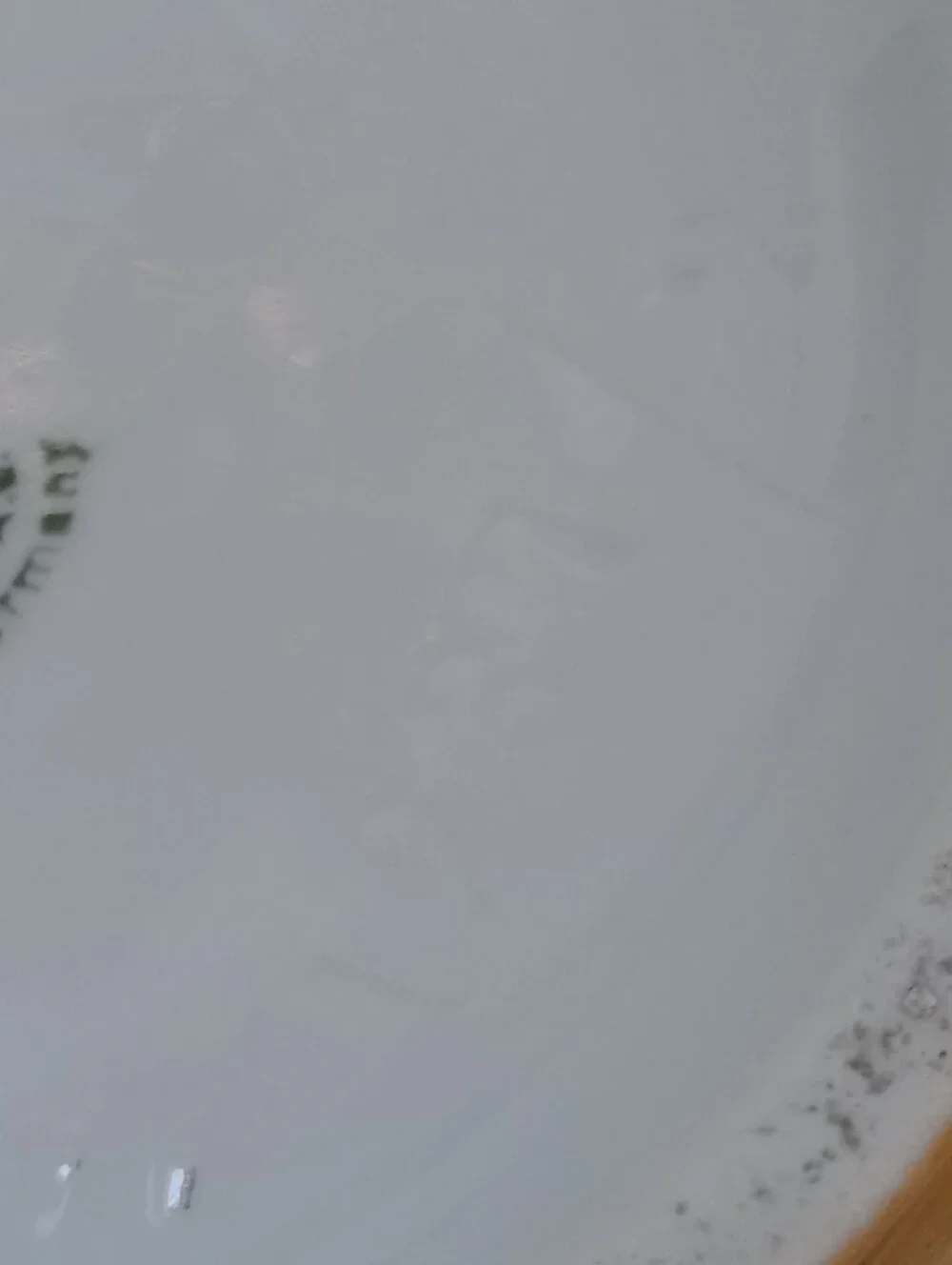 Antique Porcelain German Bavarian Vase